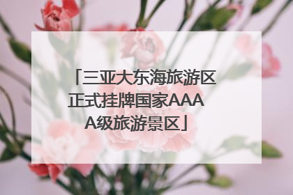 三亚大东海旅游区正式挂牌国家AAAA级旅游景区