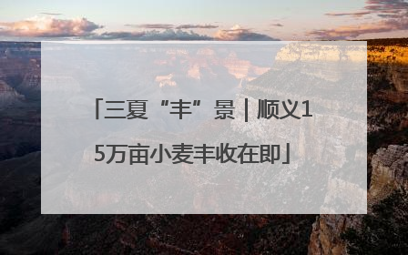 三夏“丰”景｜顺义15万亩小麦丰收在即