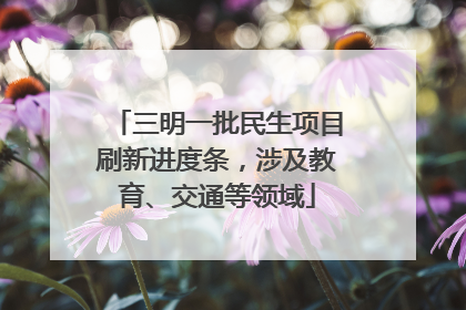 三明一批民生项目刷新进度条，涉及教育、交通等领域