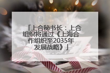 上合秘书长：上合组织将通过《上海合作组织至2035年发展战略》