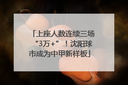 上座人数连续三场“3万+”！沈阳球市成为中甲新样板