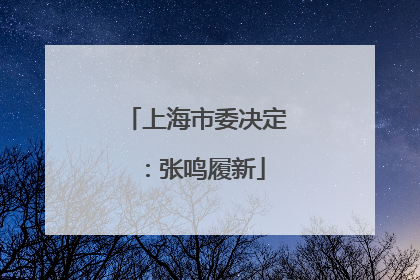 上海市委决定：张鸣履新