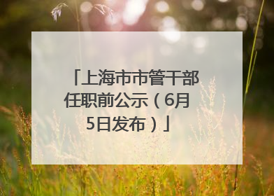 上海市市管干部任职前公示（6月5日发布）