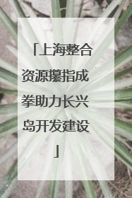 上海整合资源攥指成拳助力长兴岛开发建设