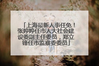 上海最新人事任免！张婷婷任市人大社会建设委副主任委员，郑立锋任市监察委委员