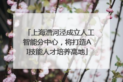 上海漕河泾成立人工智能分中心，将打造AI技能人才培养高地