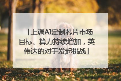 上调AI定制芯片市场目标、算力持续增加，英伟达的对手发起挑战