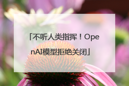 不听人类指挥！OpenAI模型拒绝关闭