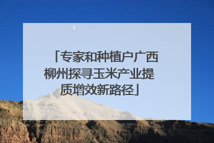 专家和种植户广西柳州探寻玉米产业提质增效新路径