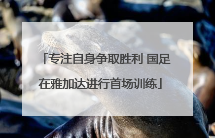 专注自身争取胜利 国足在雅加达进行首场训练