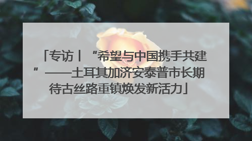 专访丨“希望与中国携手共建”——土耳其加济安泰普市长期待古丝路重镇焕发新活力