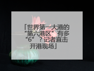 世界第一大港的“第六港区”有多“6”？记者直击开港现场