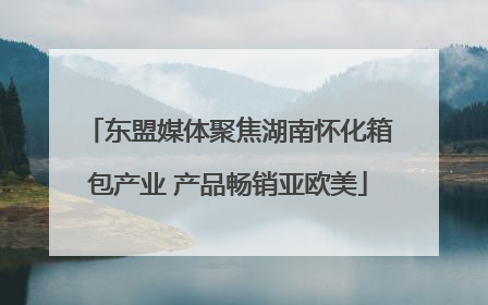 东盟媒体聚焦湖南怀化箱包产业 产品畅销亚欧美