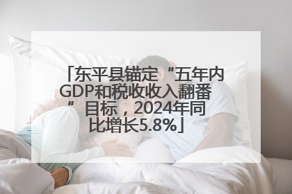 东平县锚定“五年内GDP和税收收入翻番”目标，2024年同比增长5.8%