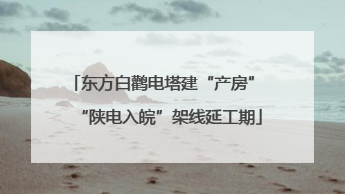 东方白鹳电塔建“产房” “陕电入皖”架线延工期
