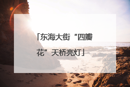 东海大街“四瓣花”天桥亮灯