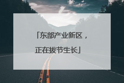东部产业新区，正在拔节生长