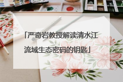 严奇岩教授解读清水江流域生态密码的钥匙