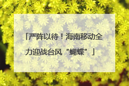 严阵以待！海南移动全力迎战台风“蝴蝶”