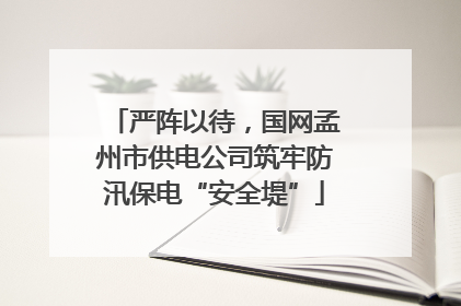 严阵以待，国网孟州市供电公司筑牢防汛保电“安全堤”
