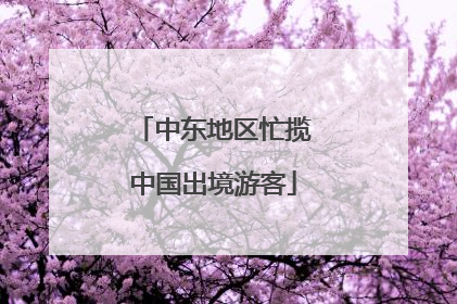 中东地区忙揽中国出境游客