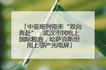中亚班列带来“双向奔赴”：武汉市民吃上国际粮油，哈萨克斯坦用上鄂产光电屏