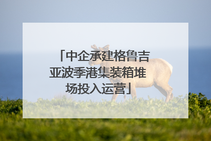 中企承建格鲁吉亚波季港集装箱堆场投入运营