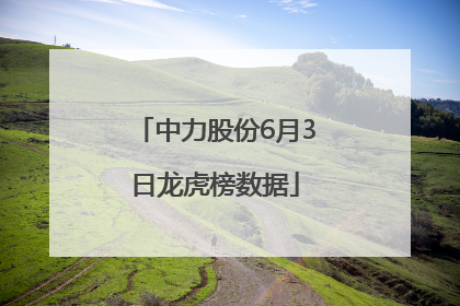中力股份6月3日龙虎榜数据