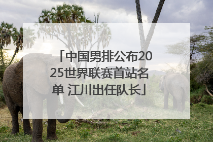 中国男排公布2025世界联赛首站名单 江川出任队长
