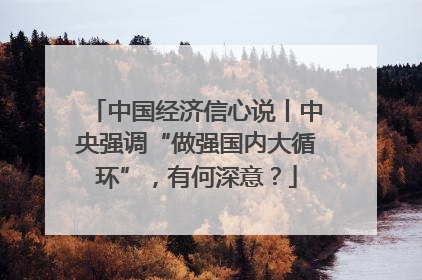 中国经济信心说丨中央强调“做强国内大循环”，有何深意？