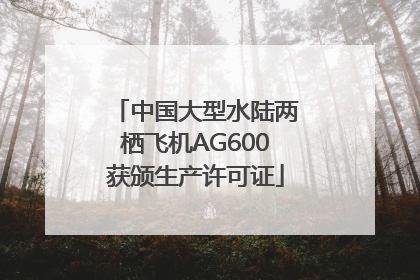 中国大型水陆两栖飞机AG600获颁生产许可证
