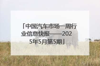 中国汽车市场一周行业信息快报——2025年5月第5期