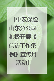 中宏保险山东分公司积极开展《信访工作条例》宣传月活动