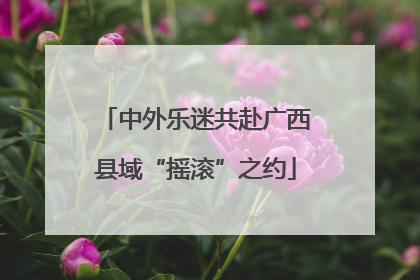 中外乐迷共赴广西县域“摇滚”之约