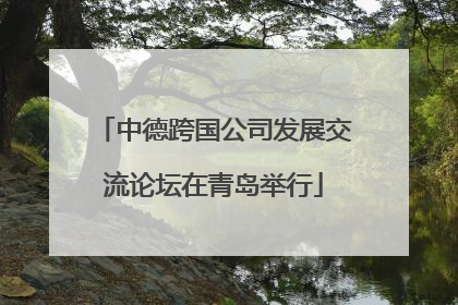中德跨国公司发展交流论坛在青岛举行