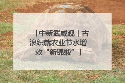中新武威观｜古浪织就农业节水增效“新锦缎”