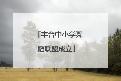 丰台中小学舞蹈联盟成立