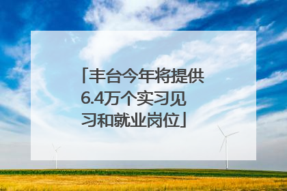 丰台今年将提供6.4万个实习见习和就业岗位
