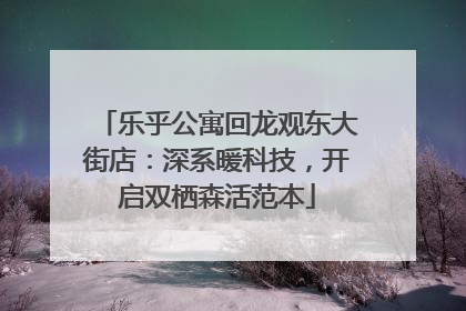 乐乎公寓回龙观东大街店：深系暖科技，开启双栖森活范本