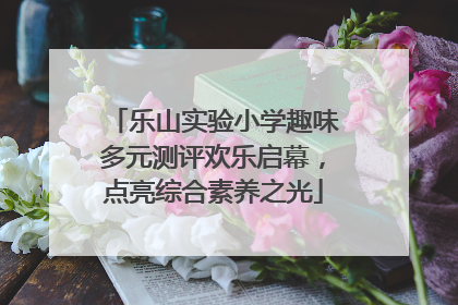 乐山实验小学趣味多元测评欢乐启幕，点亮综合素养之光