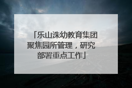 乐山洙幼教育集团聚焦园所管理，研究部署重点工作