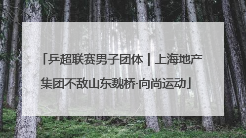 乒超联赛男子团体｜上海地产集团不敌山东魏桥·向尚运动