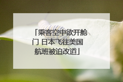 乘客空中欲开舱门 日本飞往美国航班被迫改道