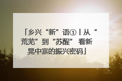 乡兴“新”语①丨从“荒芜”到“苏醒” 看新晃中寨的振兴密码