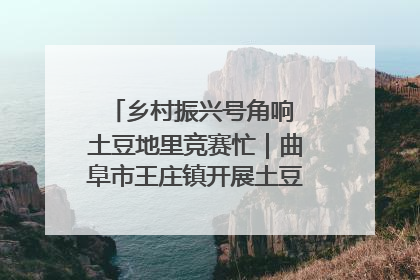 乡村振兴号角响 土豆地里竞赛忙｜曲阜市王庄镇开展土豆收获劳动竞赛