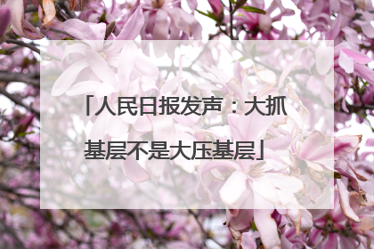 人民日报发声：大抓基层不是大压基层