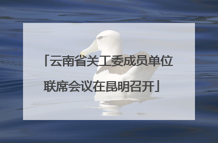 云南省关工委成员单位联席会议在昆明召开