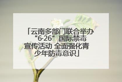 云南多部门联合举办“6·26”国际禁毒宣传活动 全面强化青少年防毒意识