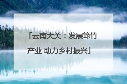 云南大关：发展筇竹产业 助力乡村振兴