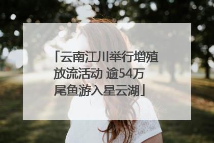 云南江川举行增殖放流活动 逾54万尾鱼游入星云湖